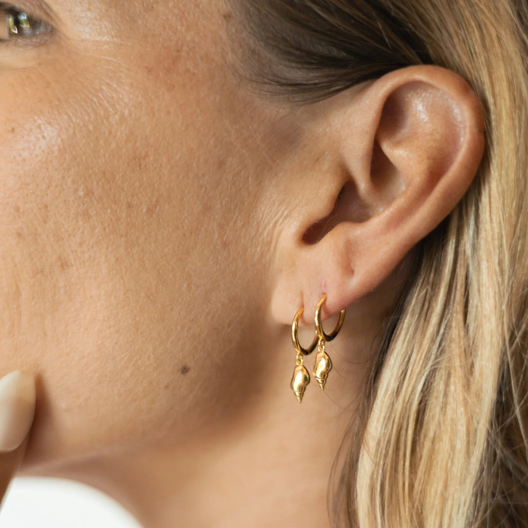 Arito Caracol Marino Baño en Oro