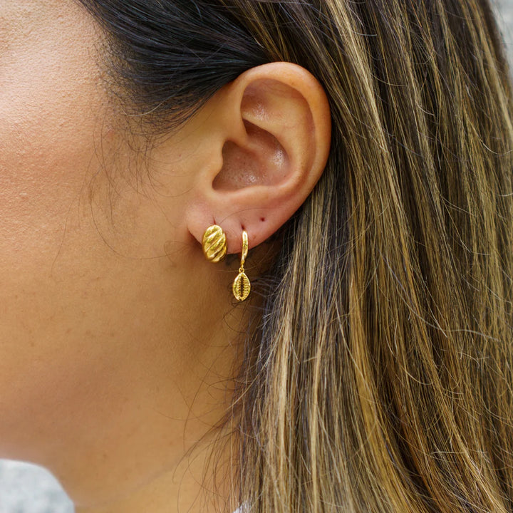 Arito Shell Baño en Oro