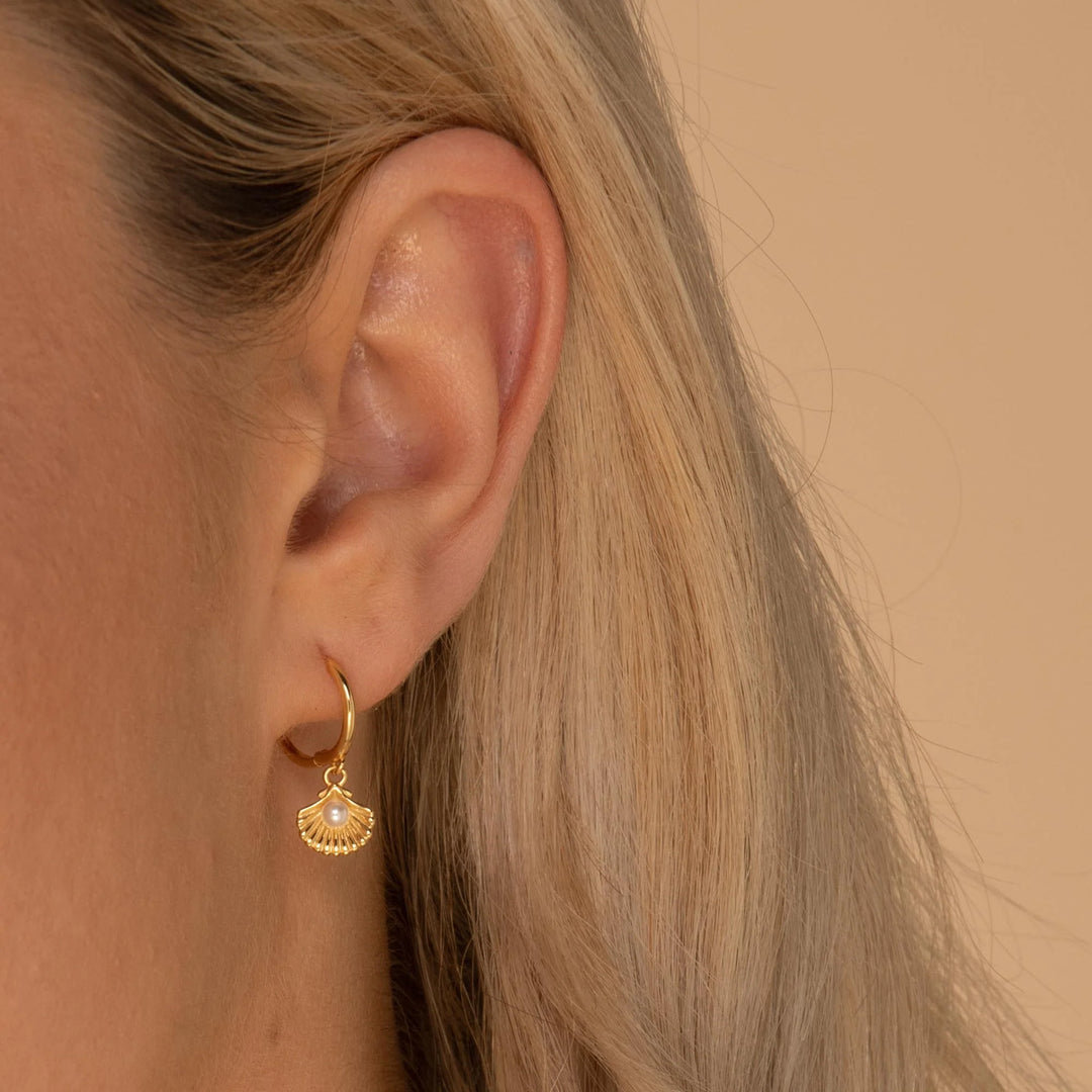 Arito Conchita Perla Baño Oro